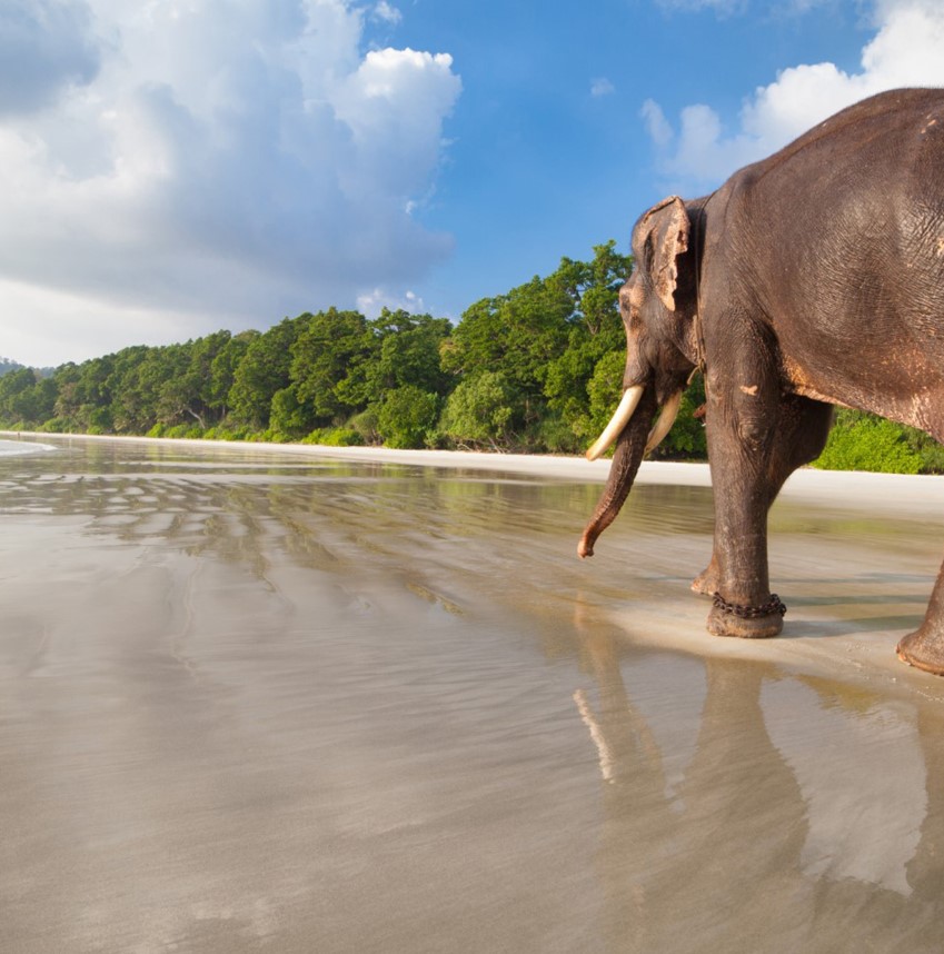 LES Î LES ANDAMAN, LES MALDIVES DE L’ INDE