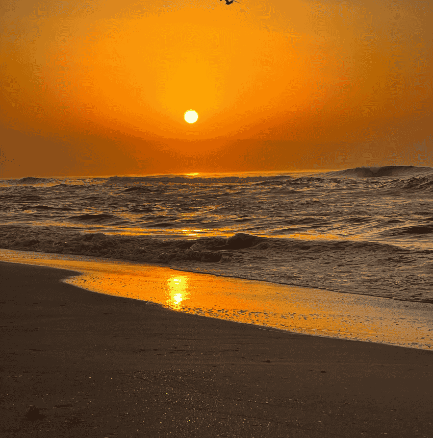 Nos voyages - Salalah