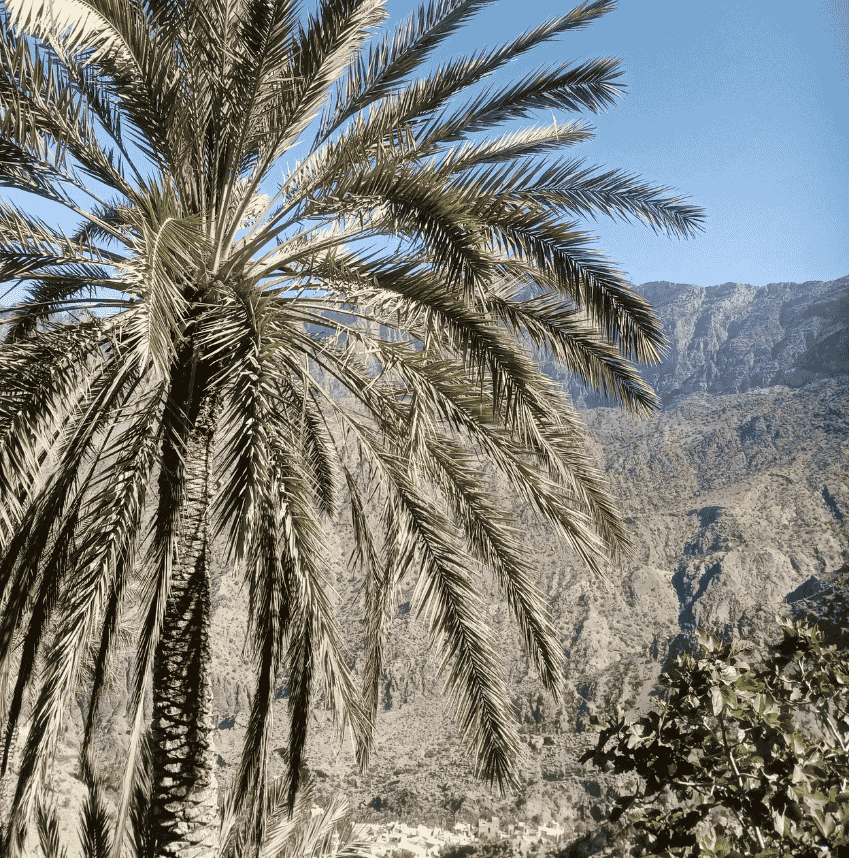 L'incroyable Oman